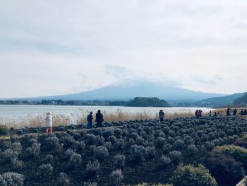 Rear view of people looking at field against sky