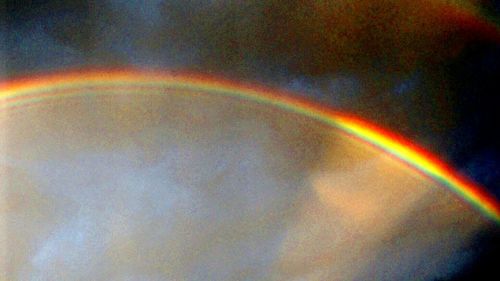 Rainbow over trees