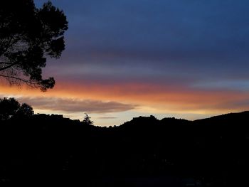 Silhouette trees against sky during sunset