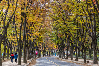 Rear view of people walking on road in autumn