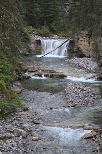 Scenic view of waterfall in forest