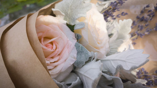 Close-up of flowers against blurred background