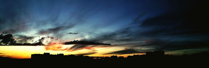 Silhouette of trees at sunset