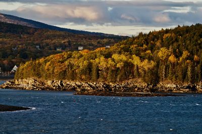 Homes and autumn foliage a top a hilly, rocky coast line.