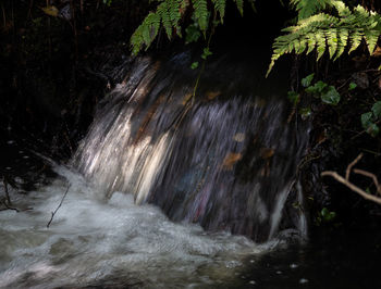 Scenic view of waterfall in forest