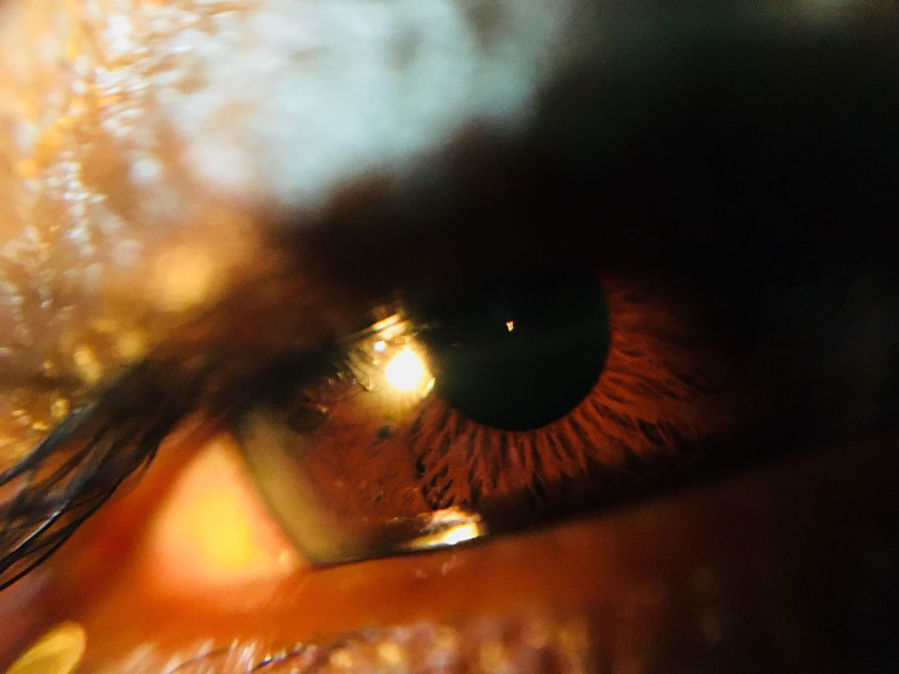 CLOSE-UP OF WOMAN LOOKING AWAY AGAINST BLURRED BACKGROUND