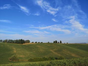 Scenic view of agricultural field against sky