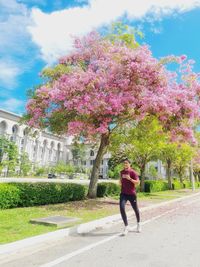 Full length of woman walking on pink flowering tree against sky