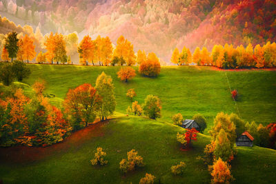 Hills in autumn