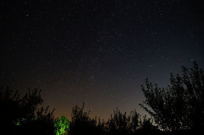 Low angle view of silhouette trees against star field at night