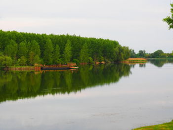 Reflection of trees in calm lake