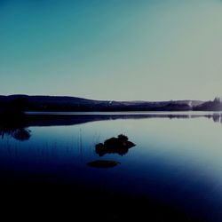 Reflection of trees in water