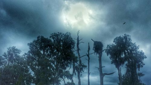 Low angle view of trees against cloudy sky
