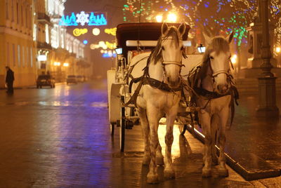 Horse cart in illuminated city at night during winter