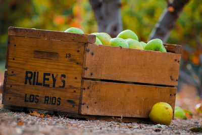 Apples in wooden crate on field