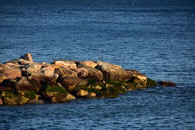 Scenic shot of rocks in sea