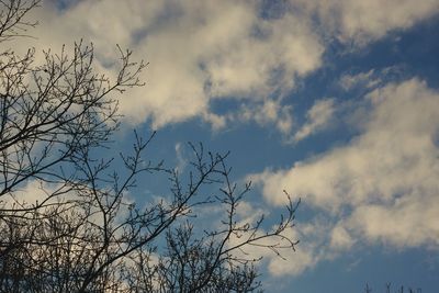 Low angle view of bare tree against cloudy sky