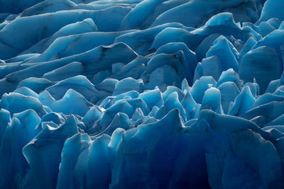 Full frame shot of flowers