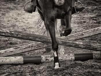 Low section of person riding horse over hurdle during equestrian event