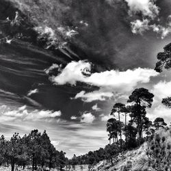 Scenic view of landscape against cloudy sky