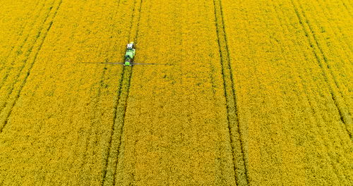 Full frame shot of agricultural field