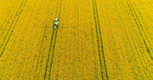 Full frame shot of agricultural field