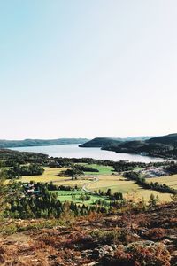 Scenic view of field against clear sky