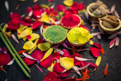 Close-up of multi colored flowers
