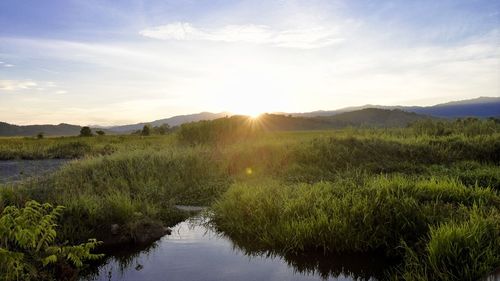 Scenic view of field against sky during sunset