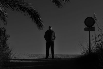 Rear view of silhouette man standing by palm trees against sky