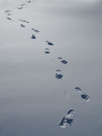 High angle view of footprints on snow covered field