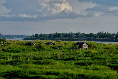 Scenic view of green landscape against sky