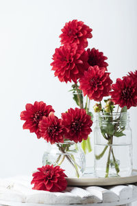 Flowers in vase against white background