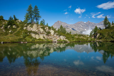 Scenic view of lake by trees against sky