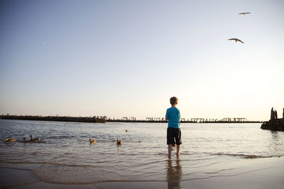 Rear view of boy standing in sea during sunset