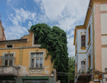 Low angle view of trees and buildings against sky