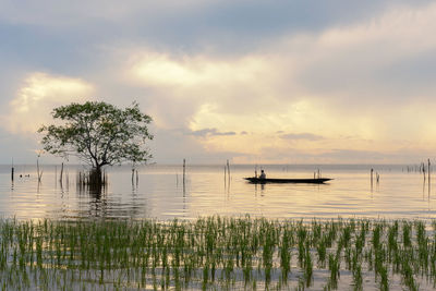 Silhouette tree by lake against sky during sunset