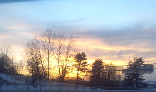 Bare trees on snow covered landscape