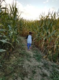 Rear view of man walking in farm