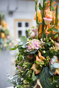 Close-up of flower arrangement