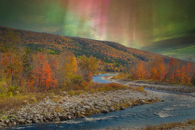 beauty in nature