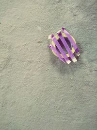 High angle view of purple flower on beach