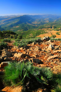 High angle view of landscape