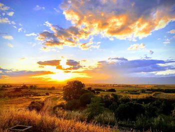 Scenic view of field against sky during sunset