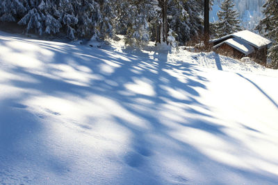 Scenic view of snow covered landscape