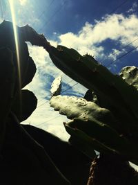 Low angle view of sky