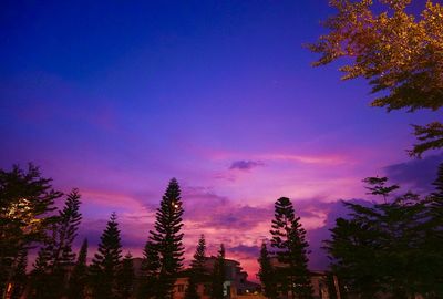 Scenic view of trees against sky at sunset