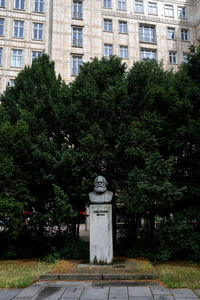 Trees in garden against buildings in city