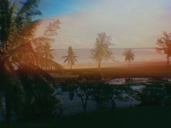 Silhouette of trees and landscape at sunset