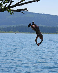 Man jumping in lake